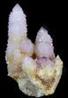 Cactus Quartz (Amethyst) Crystal - Very Long Crystals #44791-1